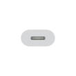 Apple Adaptor Original Type-C la Lightning White